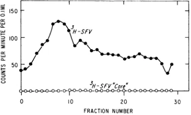FIG. 1.chondrialmitochondrialanalyzedgradientwithgradient Analysis in a discontinuous sucrose density of cytoplasmic radioactivity after infection 3H-SFV