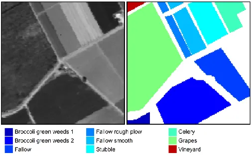 Fig. 8.  One band image at the wavelength of 667 nm (left) and the ground truth map for the Salinas C data set (right)
