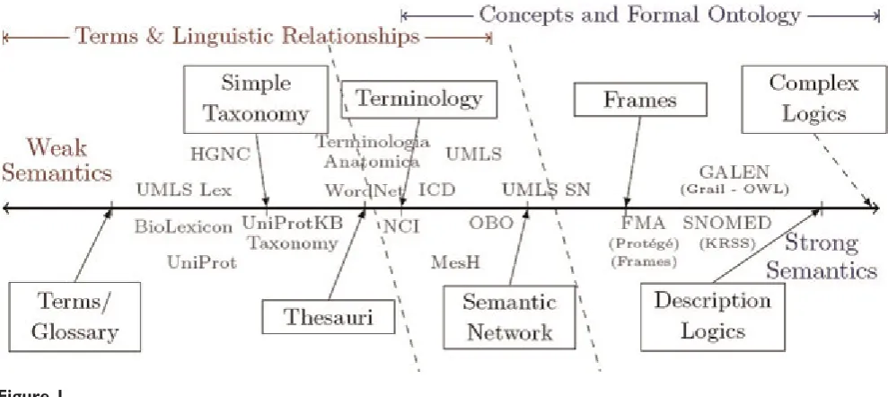 Figure 1Adapted Ontology Spectrum based on [5,59,60].