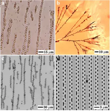 Figure 1.1 Examples of one-dimensional structures. Colloidal assembly in 