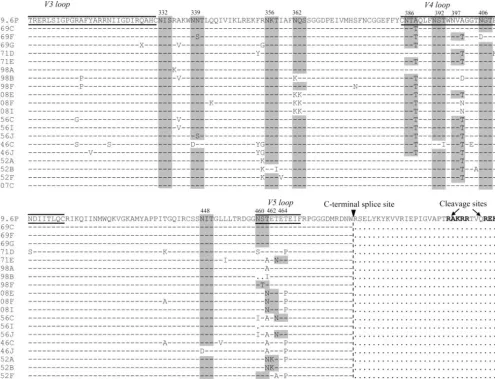 FIG. 1. Variant gp120 sequences were subcloned into a gp160 expression plasmid. (A) The 89.6P subcloning strategy is shown as a linearschematic, with the primary cleavage site between gp120 and gp41 shown as a heavy black line