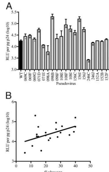 FIG. 3. Infectivity of pseudoviruses. (A) The infectivity of eachpseudovirus is expressed as the average number of RLU per picogram