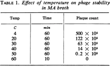 TABLE 1. Effect of temperaturein MA broth