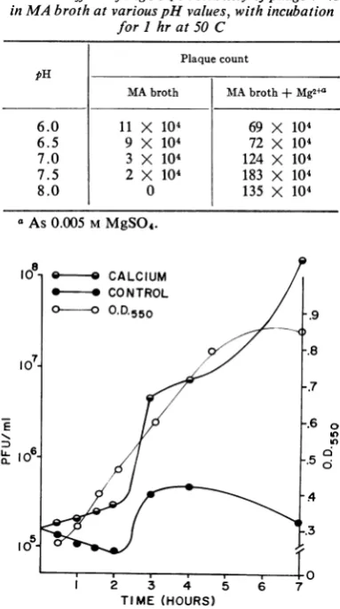 TABLE 3. Effect ofMgSO4 on stability ofphage V45in MA broth at various pH values, with incubation