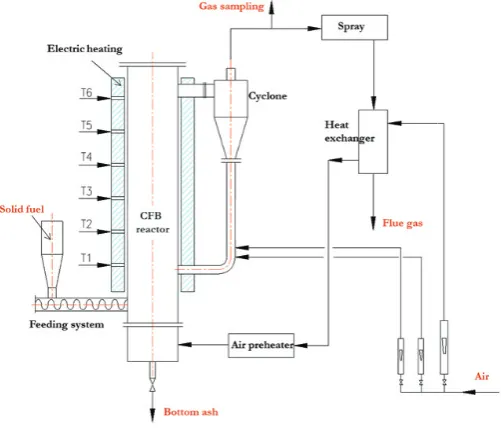 Fig. 1. CFB reactor scheme 