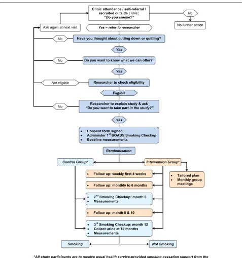 Figure 1 Flowchart for a randomised controlled trial of a culturally appropriate, multidimensional, intensive smoking cessationintervention provided by trained Aboriginal researchers.