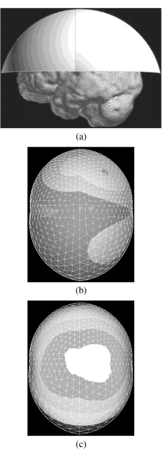 Fig. 4. Some of the initial results. (a) 3-D brain model with imaginary “sensorsurface” above the head on which some of the modeling results were plottedfor comparison and validation purposes