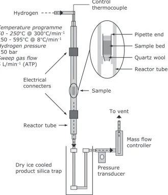 Fig. 1. Schematic representation of the hydropyrolysis apparatus.