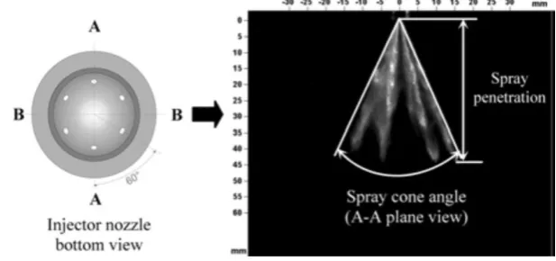 Figure 2. Injector nozzle and spray view.  Table 2. Specifications of multi-hole injector