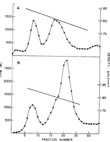 Fig. 1Xl.75AX0\.annealed\\u00b0 does- 6. DNA from the heavy band in Fig. 5A not form double-stranded DNA when self- (Fig