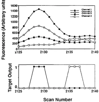 Figure  2.  Raw sequencer  data  corresponding  to  5’  -dC-dT-  3’,  upper panel,  following  background subtraction