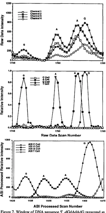 Figure 7.  Window  of  DNA  sequence 5’  -dGdAdAdG  presented as streams of  raw ABI 373A TM  sequencer data (upper panel),   trans-formed data from the signal conditioning neural network (middle panel), and transformed  data from the ABI-processed  data b