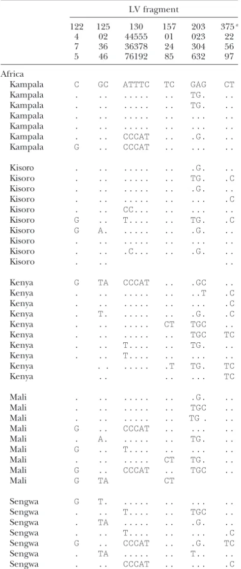 TABLE 5