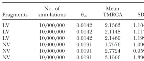 TABLE 6