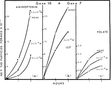 FIG. 9.andirreversible1Sf, Inhibition of in vitro complementation between extracts made from amber T4D gene-infected E