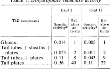 TABLE 1. Dihydrofolate reduictase activity