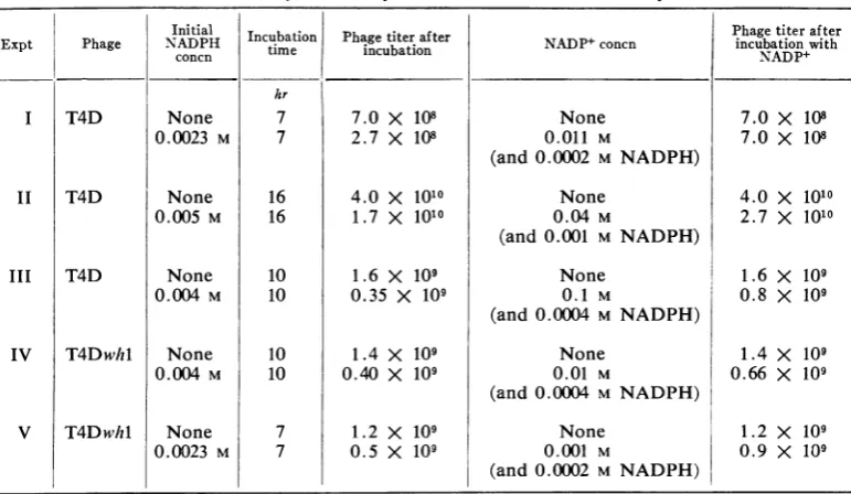 TABLE 3. Reactivation by NADP+ of T4D and T4Dwhl inactivated by NADPHa