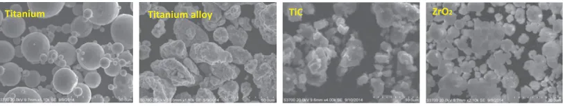Figure 1. SEM Morphology of various powders.
