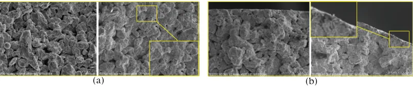 Figure 6. SEM micrographs of formed sample AISI420 (left) and NiTi (right).