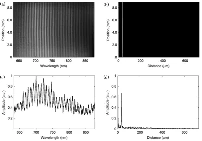 Fig. 3 (a) The interferogram of a static sample and a reference surface in the cylindrical line focus; (b) the corresponding FFT of the captured interferogram
