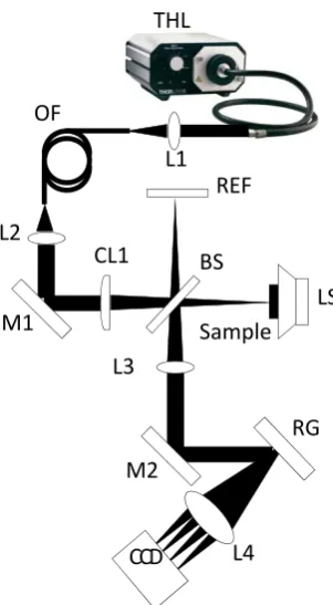 Fig. 1 The schematic diagram of a developed two-dimensional optical coherence 