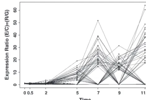 Figure 3.—Permuted data set using permutations only: asingle randomization of the 58 distinct gene proﬁles usingpermutation.
