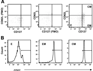 FIG. 2. Gating strategies used for the phenotypic analysis. p18-speciﬁc CD8�CD127lymphocyte population that bind the H-2D T cells were identiﬁed by gating on the CD8� T cells in thed/p18 tetramer