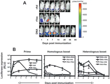 FIG. 5. In vivo expression of the luciferase protein by rVac, rAd, and DNA plasmid. Mice were immunized with rVac (2 �10combinations of immunogens using the noted vectors and the same quantity and route of administration used for the priming immunizations