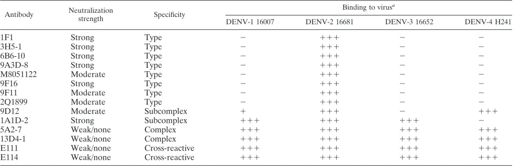 TABLE 2. Binding of MAbs to Raji-DC-SIGN-R cells infected with DENV-1, -2, -3, and -4