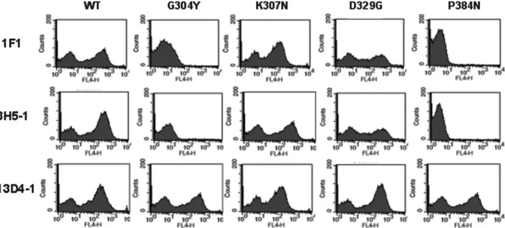 FIG. 1. Flow cytometry histograms of loss-of-function DIII variants (G304Y, K307N, D329G, and P384N) selected by yeast surface display afterbeing sorted with MAbs