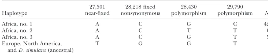 TABLE 3