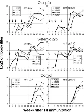 FIG. 4. Antibody titers to SIV p27 CA (left panels) and gp130 SU (right panels) after oral or systemic immunization and in control monkeys.The ﬁve-digit numbers are monkey designations, and arrows mark the time points of immunization