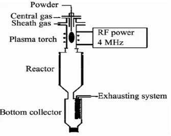 Fig. 2. Schematic representation of the experimental setup for ZnO nanorod formation by 