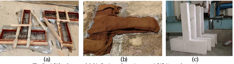 Fig 1: (a) Reinforcement details of beam column joint, (b) Reinforcement cage for corresponding details 