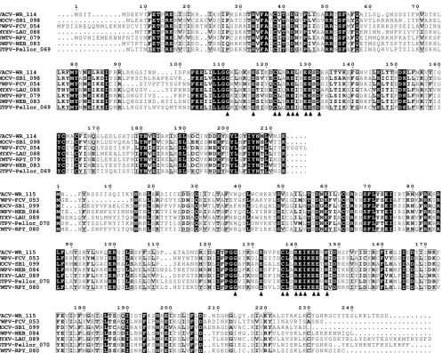 FIG. 1. Sequence alignment of chordopoxvirus proteins with Nudix hydrolase motifs. Orthologs of VACV-WR_114 (D9) and VACV-WR_115(D10) were aligned separately