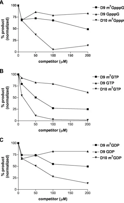 FIG. 7. D9 decapping activity is weakly inhibited by a cap analogand methylated nucleotides
