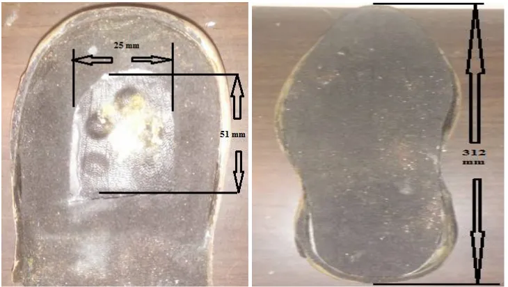Figure [3]:-Dimensions of the cut out in shoe sole that is used for the analysis.  
