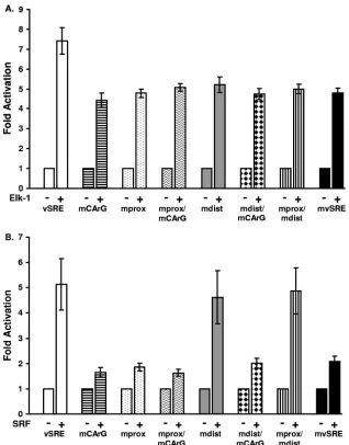 Fig. 2. Results are presented as the average n-fold activation over the basal activity of each reporter from three experiments