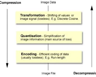Fig. 2.Encoding data in tree representation 
