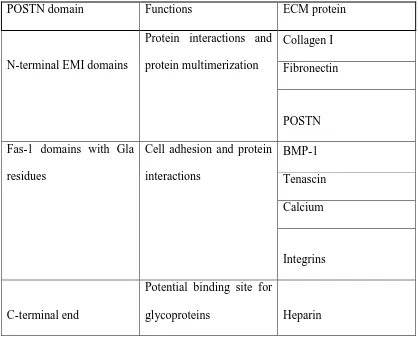Table 2: POSTN domains involved in interaction with ECM proteins 7 