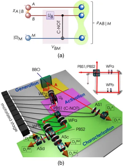 FIG. 1 (color online).Activation protocol: design and exper-polarization entangled photons are generated in a beta bariumborate crystal (BBO) via spontaneous parametric down conver-sionwave plates WPa, WPb, and analysis stages ASc, ASd, and AS1.Finally, si
