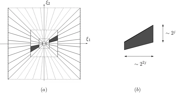 Fig. 1.1.support of the shearlet(a) The tiling of the frequency plane R�2 induced by the shearlets.(b) Frequency ψj,ℓ,k, for ξ1 > 0