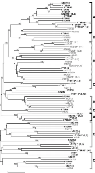 Figure 1.—Phylogenetic tree of bittertaste receptor (T2R) genes based on