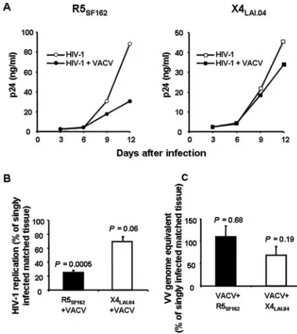 FIG. 3. Preferential depletion of activated T cells in human lymphoidtissues inoculated ex vivo with VACV