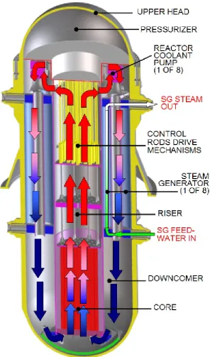 Figure 1. Layout of the IRIS Primary System 
