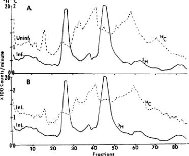 TABLE 1. Assays of infectious virus and protein during the course ofmembrane purification