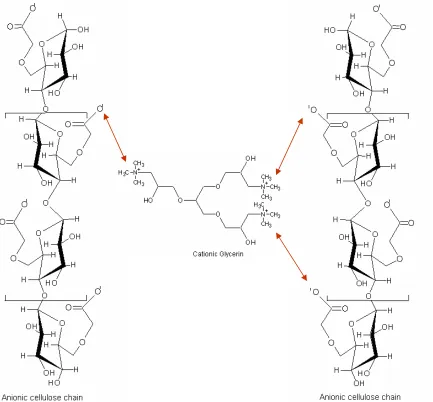 Figure 2.12 Anionic cellulose crosslinked with cationic glycerin  