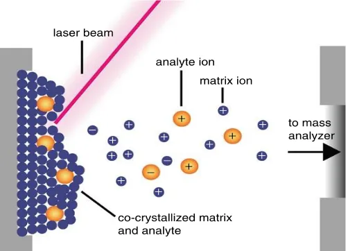 Figure 1.1 Schematic of the desorption/ionization process in MALDI.10