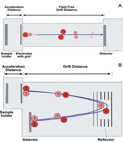 Figure 1.2. Schematic of a TOF mass analyzer in linear mode (A) and reflectron mode (B).14