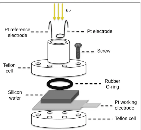 Figure 2.1 Schematic representation of the Teflon etching cell used for pSi substrate fabrication